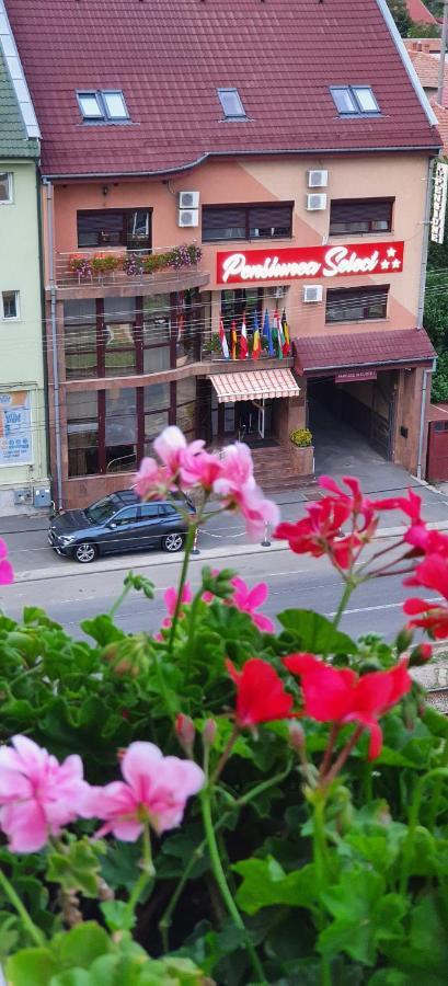Pensiunea Select Arad Buitenkant foto